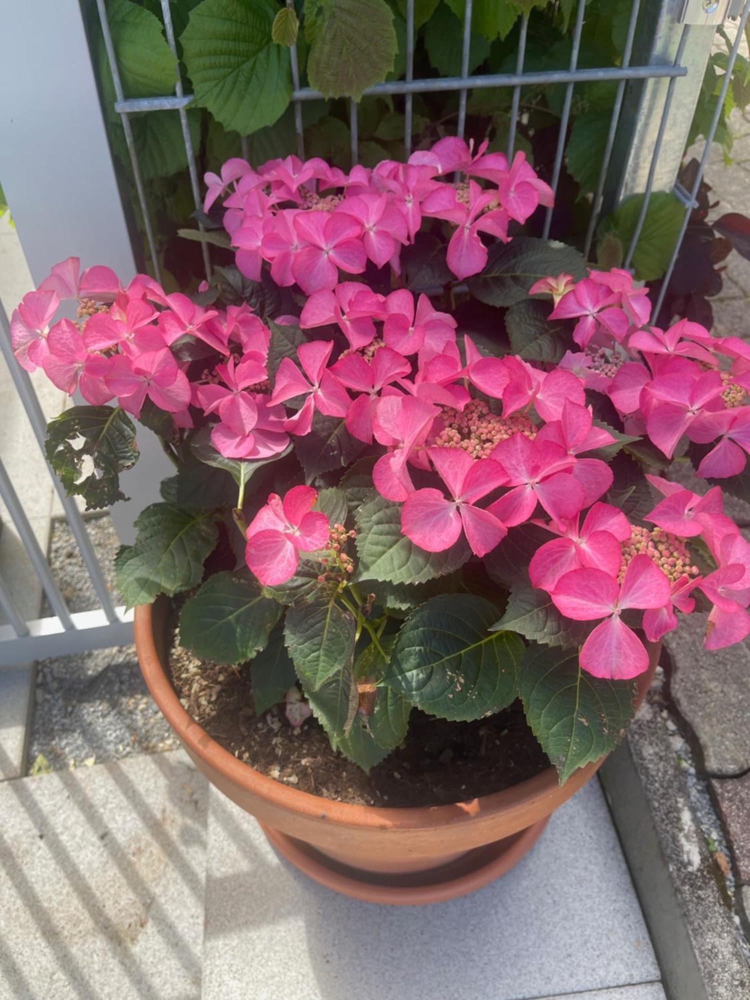Innatura Velden 沃尔特湖畔韦尔登 外观 照片
